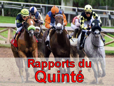 rapports du quinte